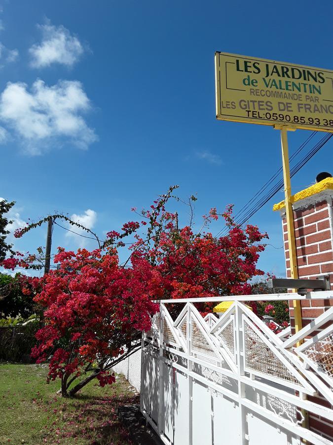 Les Jardins De Valentin Lägenhet Le Gosier  Exteriör bild